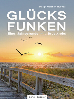 cover image of Glücksfunken